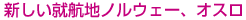 �V�����A�q�n�m���E�F�[�A�I�X��