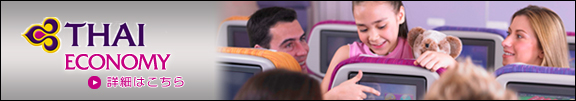 ECONOMY �ڍׂ͂�����