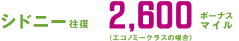 �V�h�j�[���� 2,600�{�[�i�X�}�C�� �i�G�R�m�~�[�N���X�̏ꍇ�j