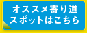 �I�X�X����蓹�X�|�b�g�͂�����