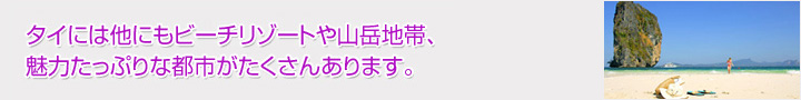 �^�C�ɂ͑��ɂ��r�[�`���]�[�g��R�x�n�сA���͂����Ղ�ȓs�s���������񂠂�܂��B