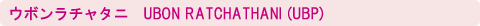 �E�{�����`���^�j�@UBON RATCHATHANI (UBP)